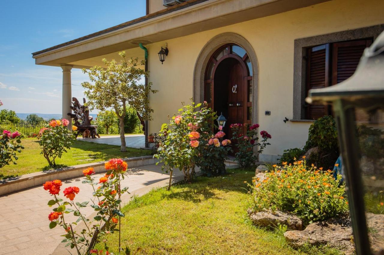 B&B Il Belvedere วิแตร์โบ ภายนอก รูปภาพ